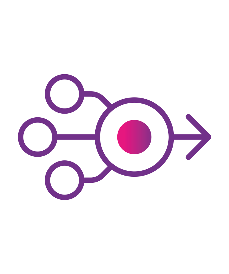 Consolidate-Icon-bordered