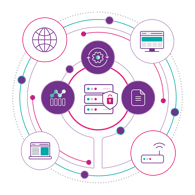 Automation-and-Insight-Reversed-bordered