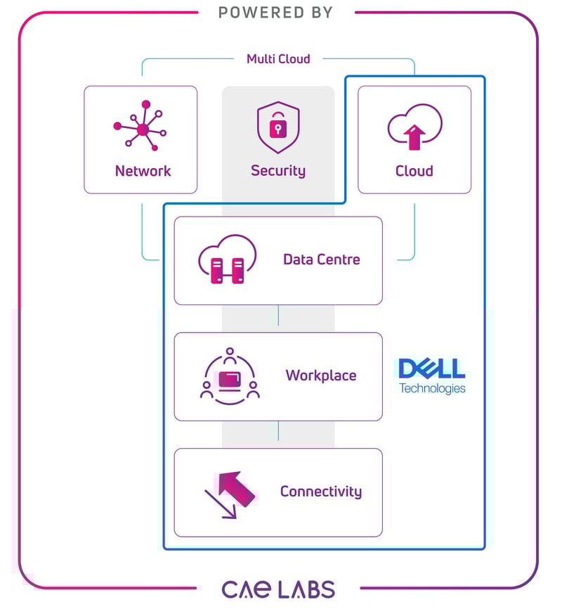 cae-infographic-dellTech