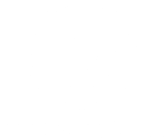 CAE-WiserWatts-Final-White-Logo (002)