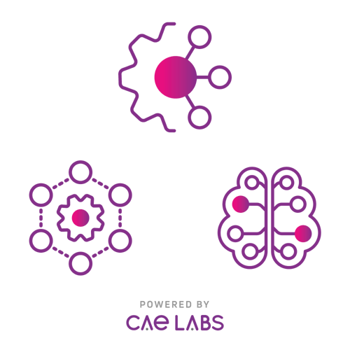CAE Labs image