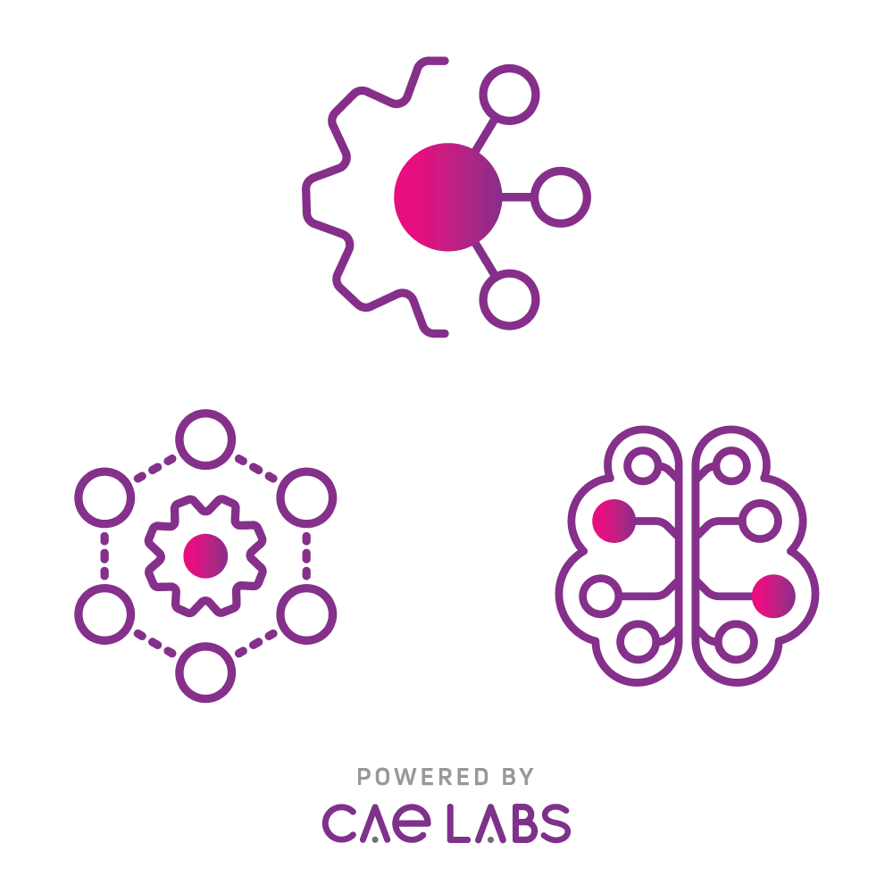 CAE Labs image