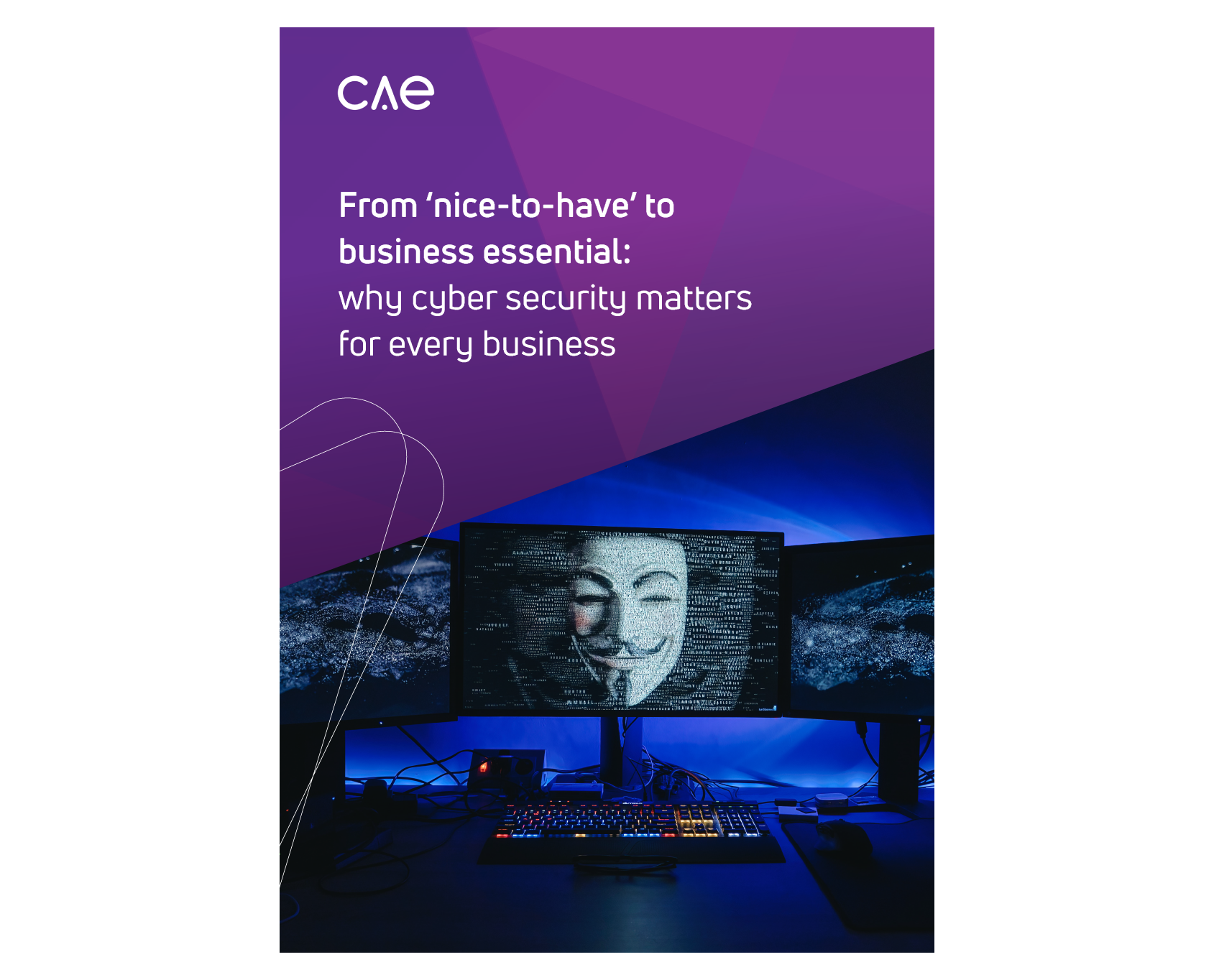 From nice to have to business essential ebook cover