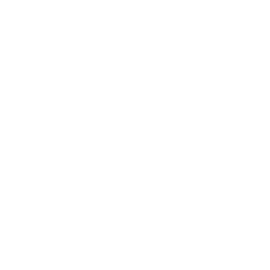 CAE logo name change 2004
