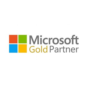 Microsoft-gold-partner-2009