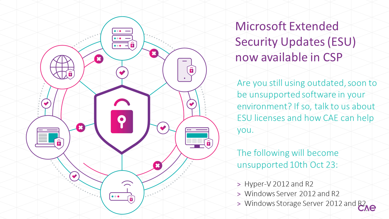 Microsoft Extended Security Updates (ESU)_V5