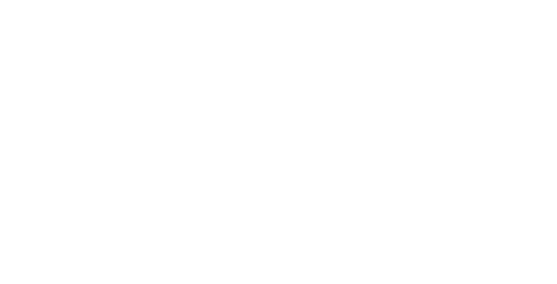 CAE Logo