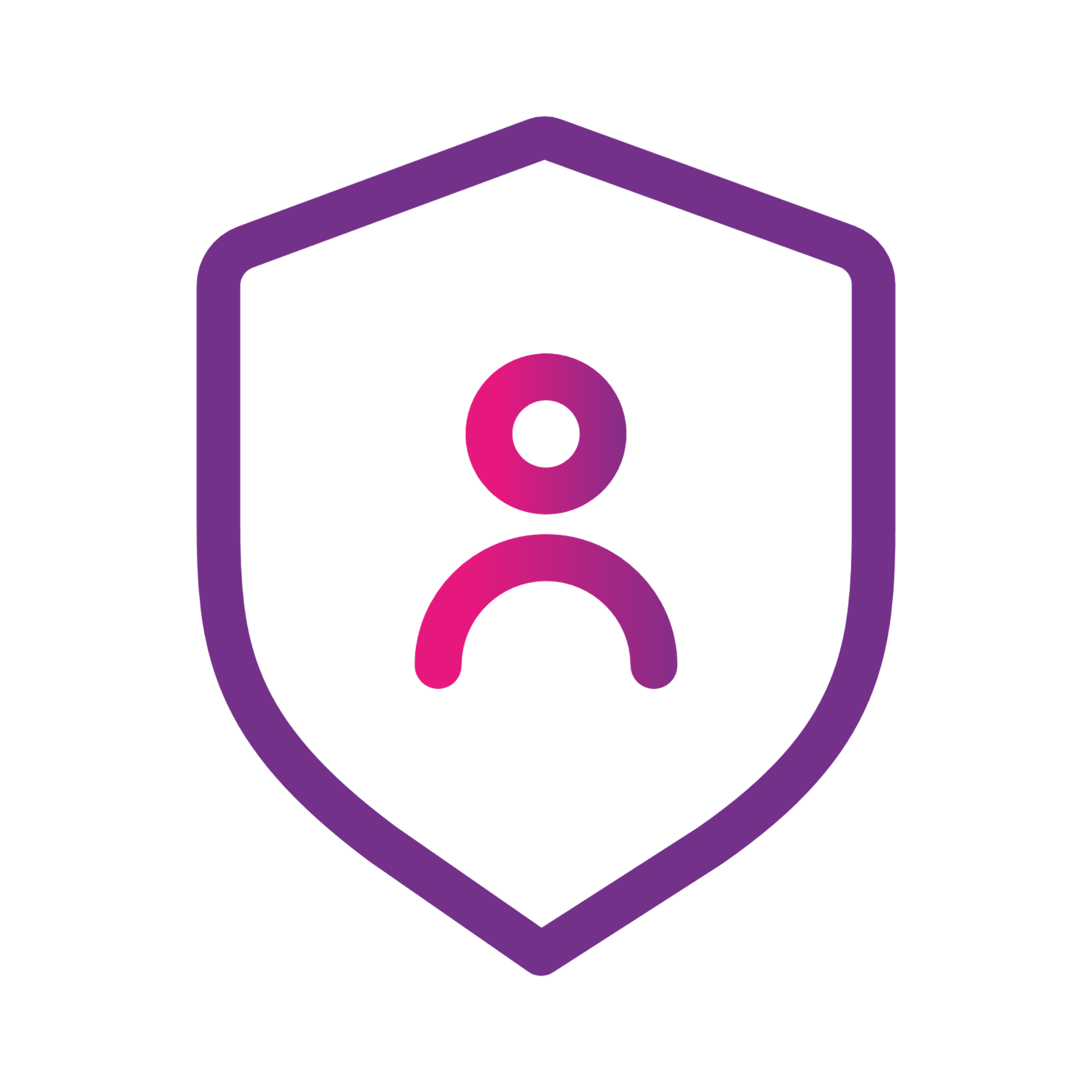 shield icon